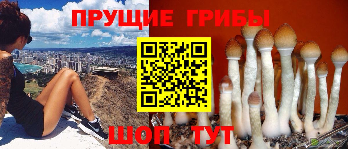 Бутурлиновка  Псилоцибиновые грибы GOLDEN TEACHER  Псилоцибиновые грибы Psilocybe  где купить наркоту  Вход с VPN 